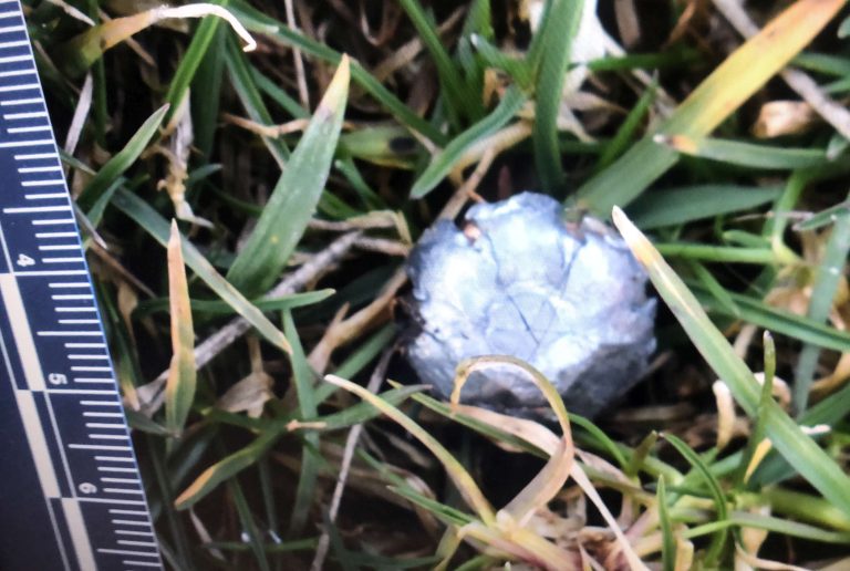 An Alternate Look at Handgun Stopping Power Active Response Training